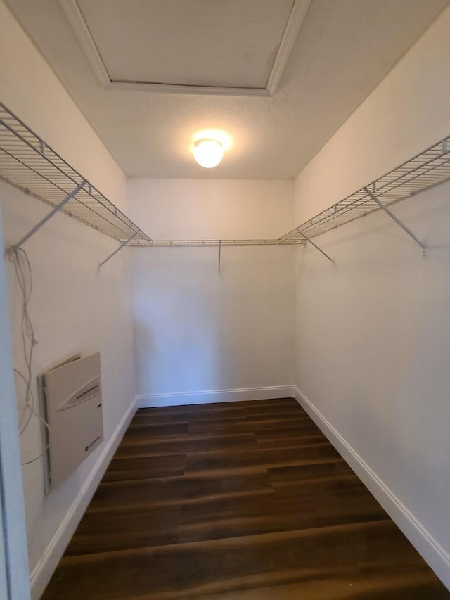 walk in closet featuring dark wood-type flooring