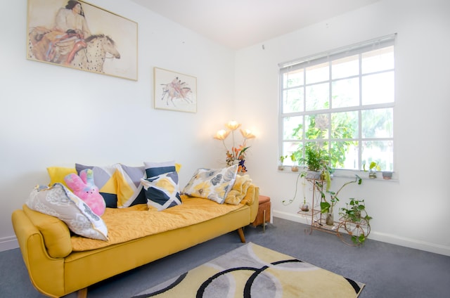 sitting room featuring carpet floors