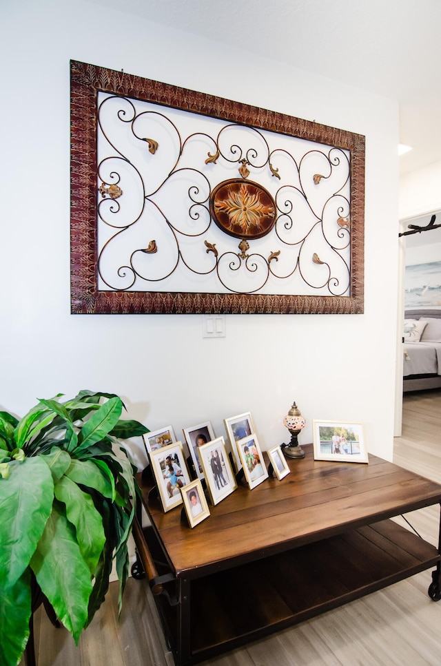 room details with hardwood / wood-style flooring