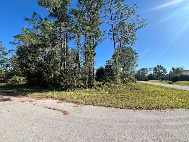 225 Nashville Ave S, Lehigh Acres FL, 33974 land for sale