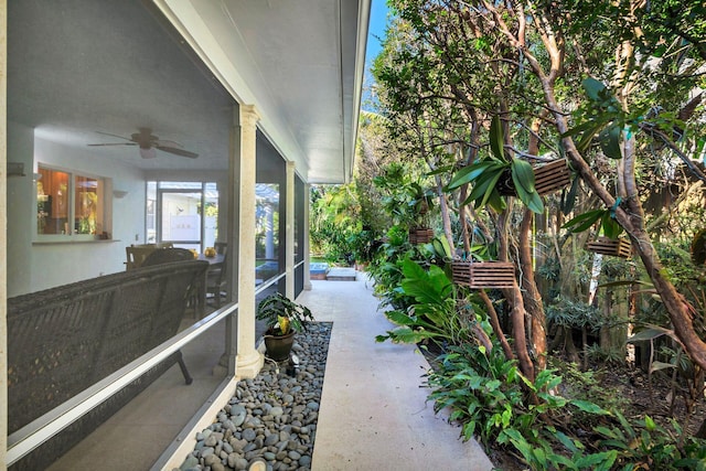 view of patio / terrace featuring ceiling fan