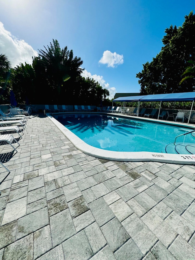 view of swimming pool with a patio