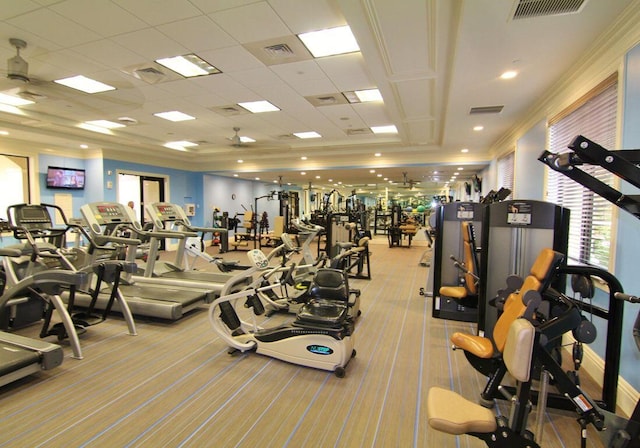 gym featuring light carpet, ornamental molding, and a drop ceiling