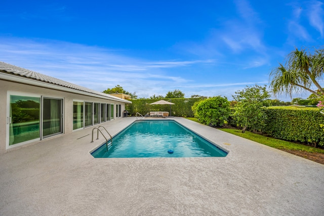 view of pool with a patio