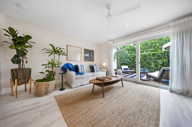 living room featuring ceiling fan and light hardwood / wood-style flooring