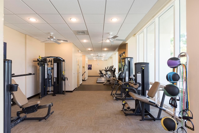 workout area with a paneled ceiling, carpet flooring, and ceiling fan