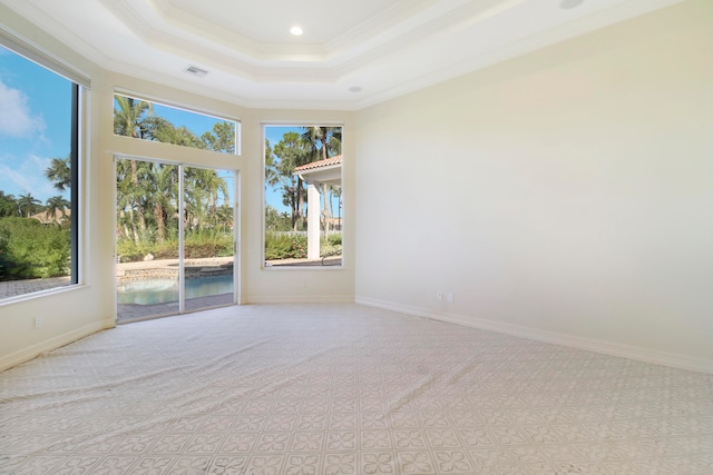 carpeted empty room featuring a raised ceiling, plenty of natural light, and crown molding