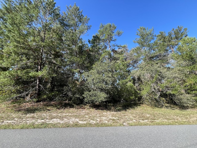 0 SW 34th Ter, Ocala, FL 34473