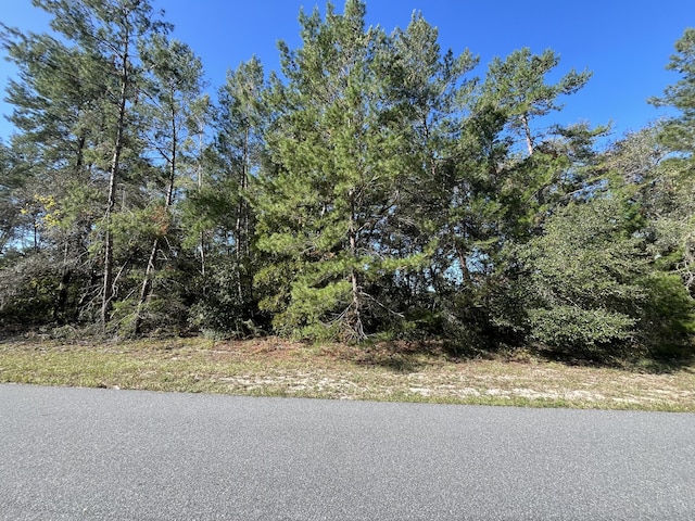 0 SW 34th Ter, Ocala, FL 34473