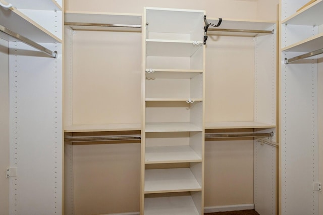 view of walk in closet