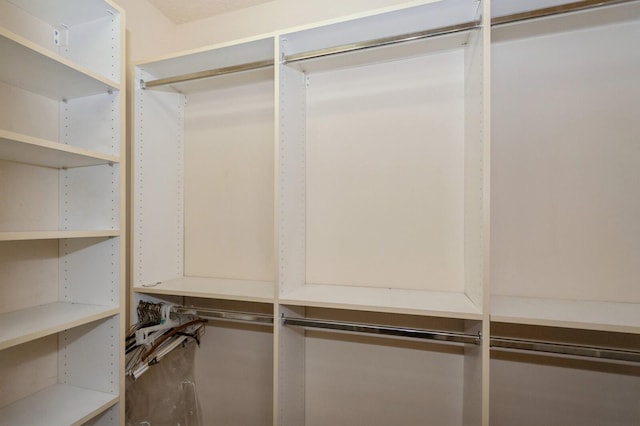 view of walk in closet