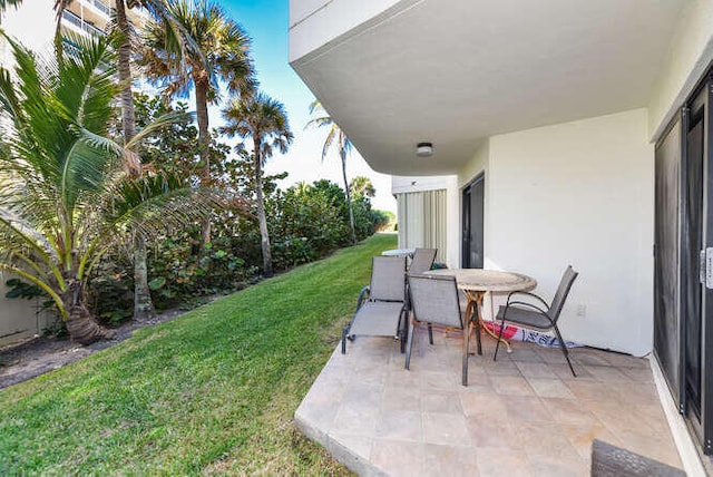 view of yard featuring a patio area