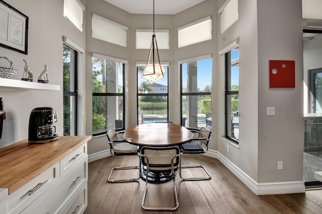 dining space featuring wood-type flooring and plenty of natural light