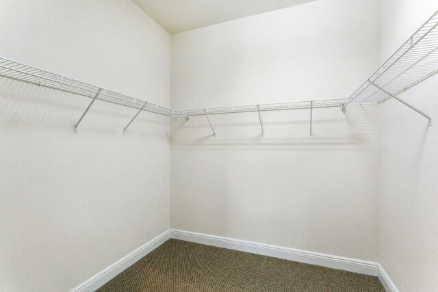 spacious closet with dark colored carpet