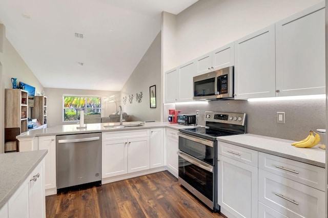 kitchen with sink, appliances with stainless steel finishes, dark hardwood / wood-style floors, and white cabinetry