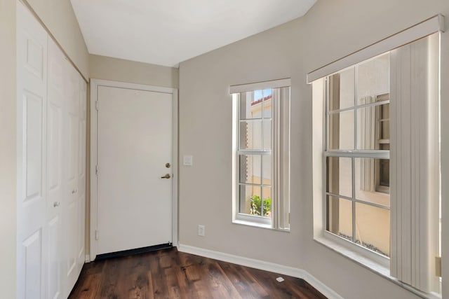 foyer entrance featuring dark wood-type flooring