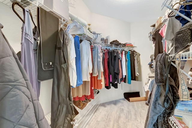 spacious closet with wood-type flooring