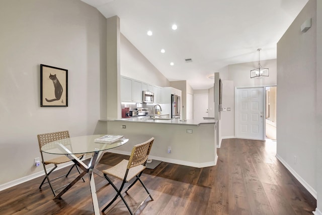 dining space featuring sink, high vaulted ceiling, and dark hardwood / wood-style flooring