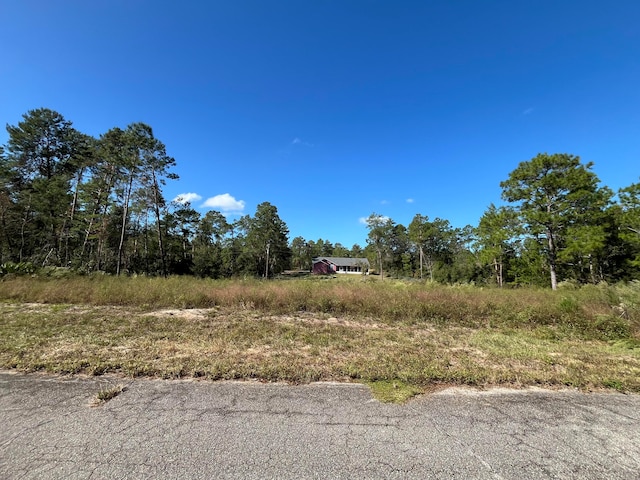 Listing photo 2 for 0 40th, Ocala FL 34473