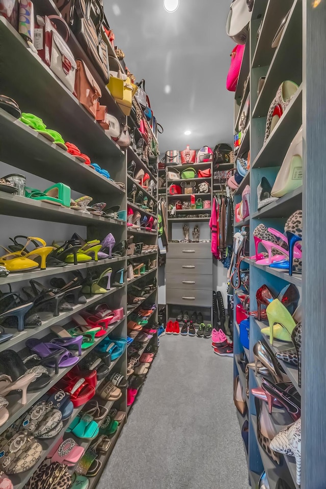 spacious closet with carpet