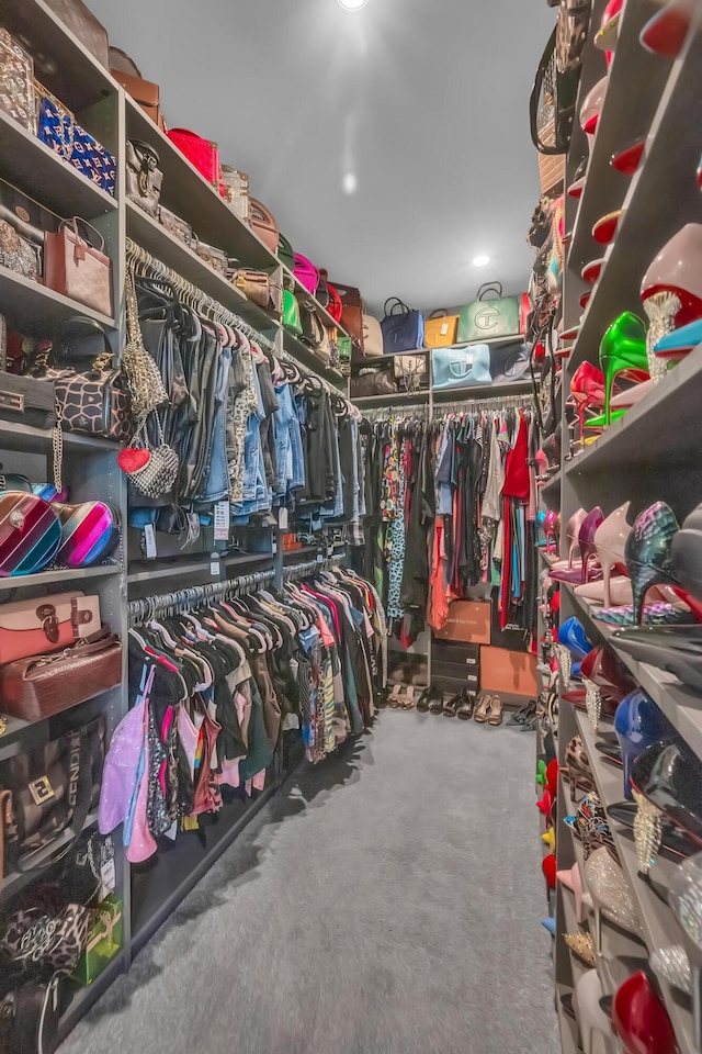 walk in closet featuring carpet floors