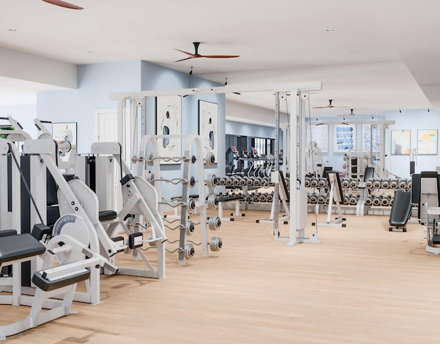 exercise room featuring light hardwood / wood-style flooring and ceiling fan