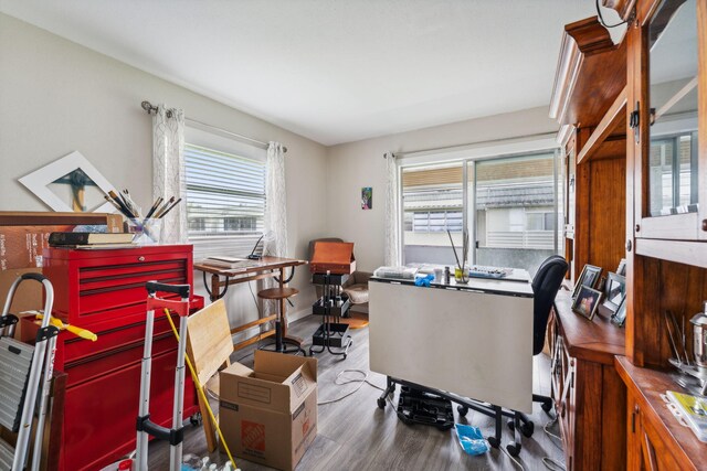 home office featuring hardwood / wood-style floors and plenty of natural light