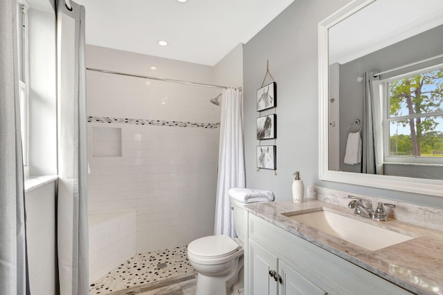 bathroom featuring vanity, a shower with curtain, and toilet