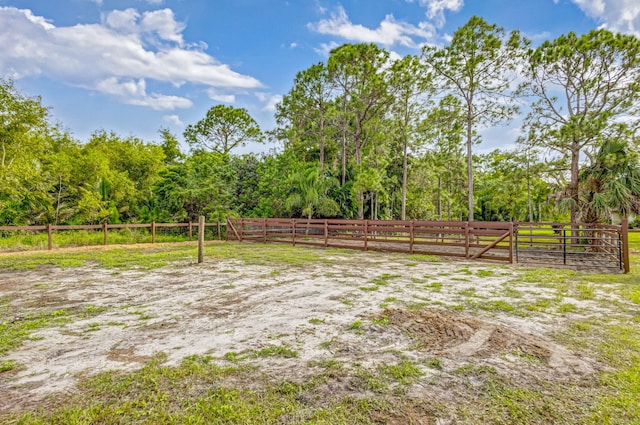 view of yard featuring a rural view