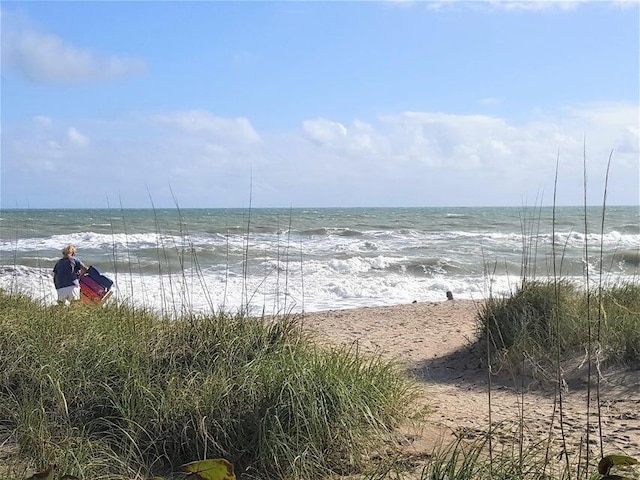 view of water feature with a beach view