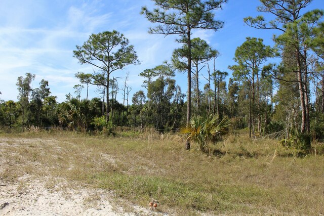 2565 Dyer Rd, Port Saint Lucie FL, 34952 land for sale