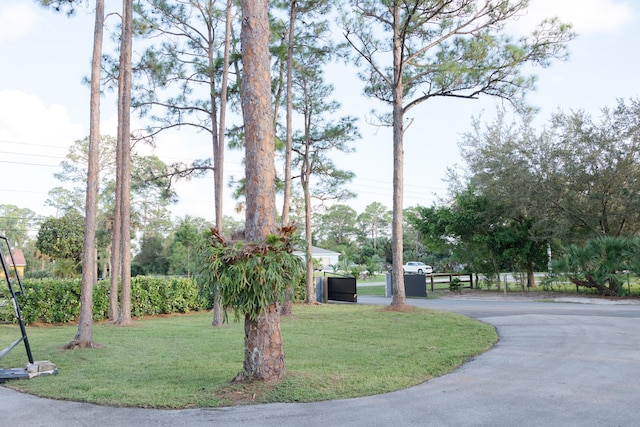 view of community with a yard