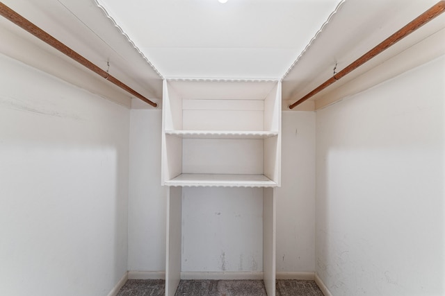 spacious closet with carpet