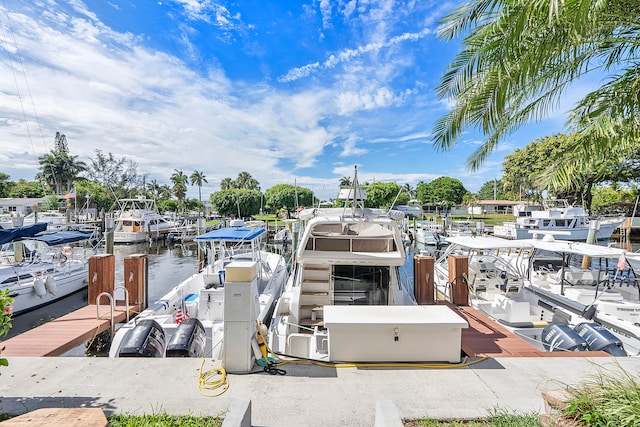 dock area with a water view