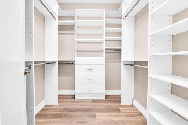 spacious closet featuring light hardwood / wood-style floors