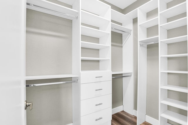 spacious closet featuring dark wood-type flooring