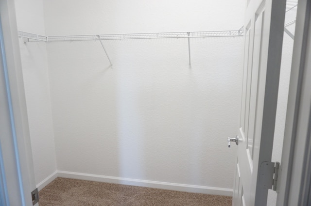 spacious closet featuring carpet flooring