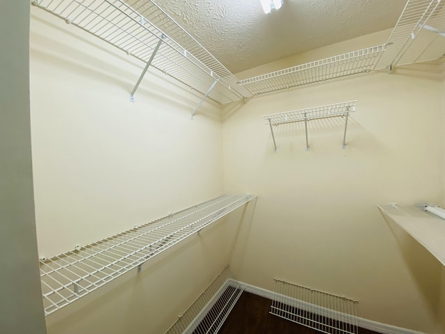 spacious closet with hardwood / wood-style floors