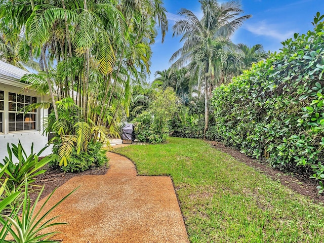 view of yard with a patio