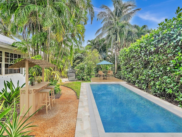 view of swimming pool with a patio