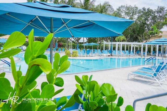 view of swimming pool with a patio