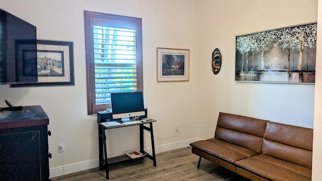 office featuring wood-type flooring