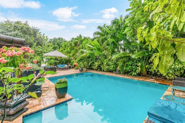 outdoor pool with an outdoor hangout area and a patio