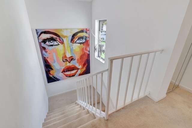 staircase with carpet floors