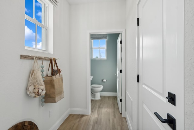 bathroom with toilet, hardwood / wood-style flooring, and plenty of natural light