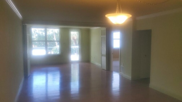 unfurnished room with ornamental molding, a wealth of natural light, and dark hardwood / wood-style flooring