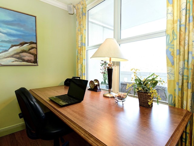 office with ornamental molding and wood-type flooring