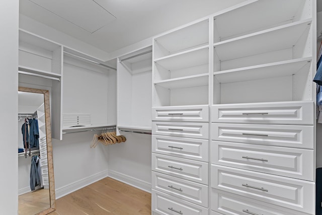 spacious closet with light hardwood / wood-style flooring