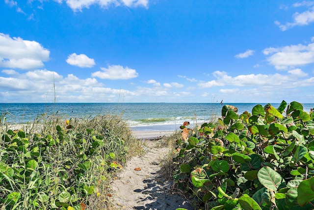 view of water feature featuring a view of the beach