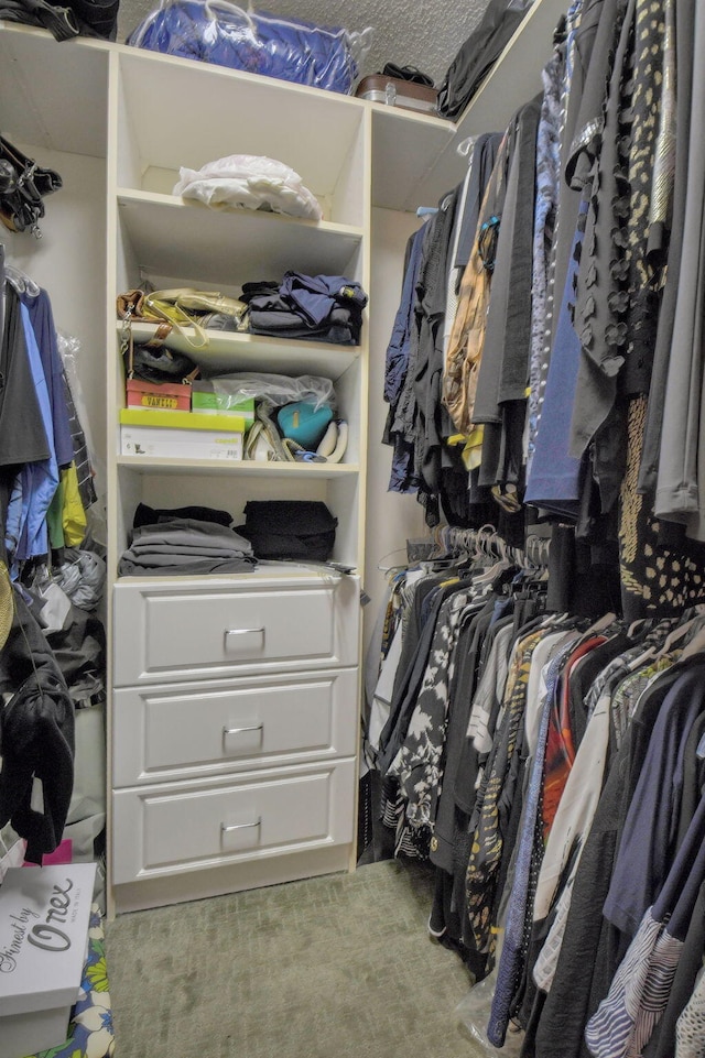 spacious closet featuring light colored carpet